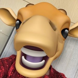 Meet your Posher, Gavin n